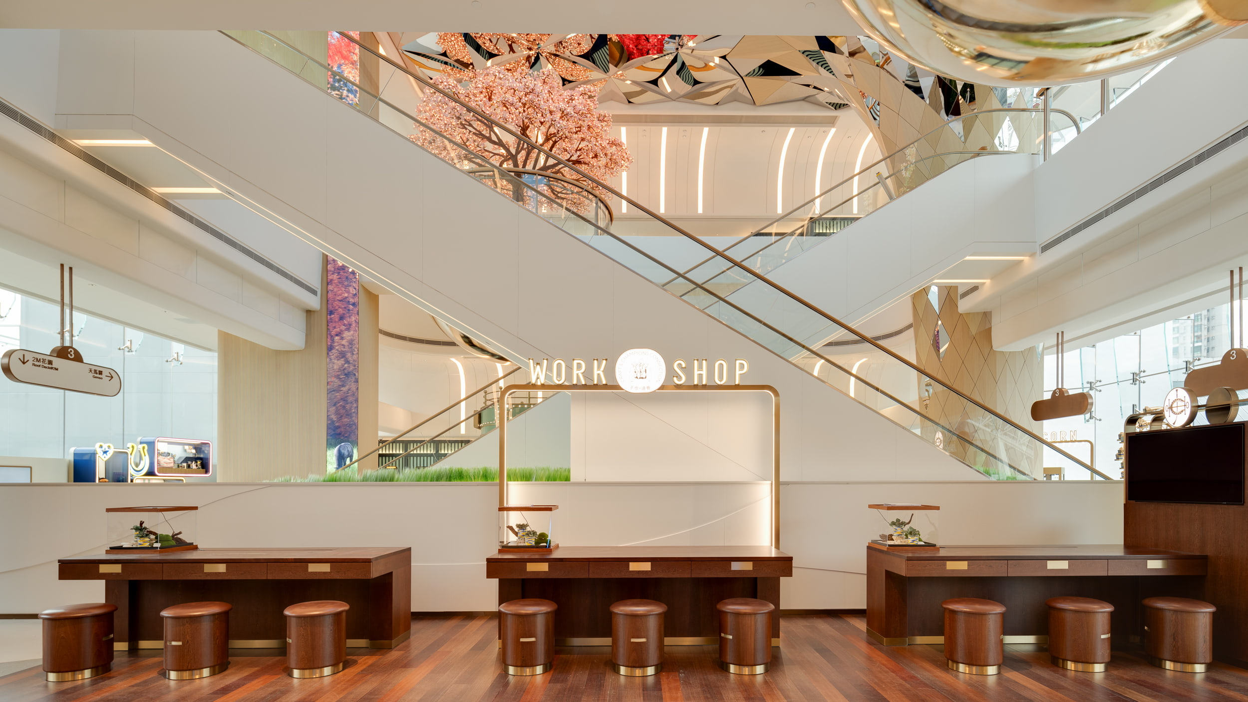 Champions Connection Gallery